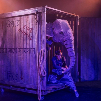 Elephant in a Box